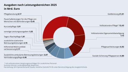 Grafik „Ausgaben nach Leistungsbereichen 2024 in Mrd. Euro“ als Tortendiagramm mit folgenden Werten: Geldleistung: 21,01 Mrd. €; Vollstationäre Pflege: 13,43 Mrd. €; Vollstationäre Eigenanteilsbeteiligung: 7,15 Mrd. €; Pflegesachleistungen: 6,92 Mrd. €; Soziale Sicherung der Pflegeperson: 4,80 Mrd. €; Verhinderungspflege: 4,46 Mrd. €; zusätzliche ambulante Betreuungsleistungen: 3,87 Mrd. €; Hilfsmittel/Wohnumfeldverbesserung: 2,17 Mrd. €; zusätzliche stationäre Betreuungsleistungen: 2,15 Mrd. €; Tages-/Nachtpflege: 1,81 Mrd. €; sonstige Leistungsausgaben: 1,03 Mrd. €; Kurzzeitpflege: 1,01 Mrd. €; Pauschalleistungen für die Pflege von Menschen mit Behinderungen: 0,45 Mrd. €; Pflegeberatung: 0,17 Mrd. €. Summen können rundungsbedingt abweichen. Darstellung: GKV-Spitzenverband; Quelle: Amtliche Statistik PV 45 unter Berücksichtigung des Ausgleichsfonds.
